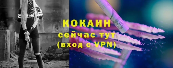 ПСИЛОЦИБИНОВЫЕ ГРИБЫ Касимов