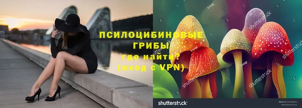 MDMA Premium VHQ Карпинск