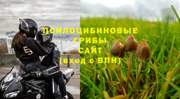 ПСИЛОЦИБИНОВЫЕ ГРИБЫ Касимов