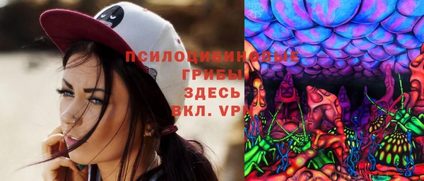 гидра Карталы