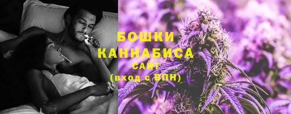 ПСИЛОЦИБИНОВЫЕ ГРИБЫ Касимов